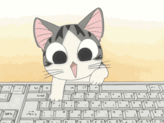 cat typing