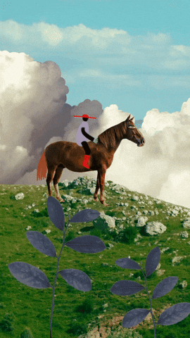 GIF by veri
