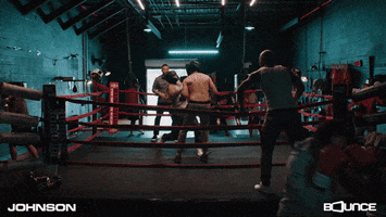 Fight Fighting GIF by Bounce