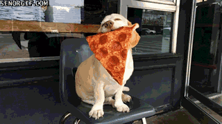 Meme gif. Mayor Sid proudly holds a large slice of pizza in his muzzle. 