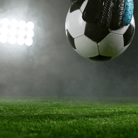 Soccer Team GIF by LVM Versicherung
