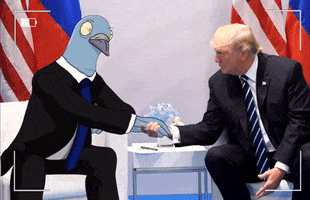 bfolk studio GIF