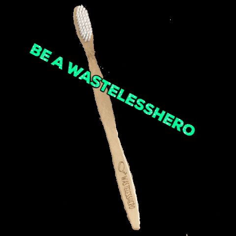 wastelesshero zerowaste toothbrush plastikfrei bambuszahnbürste GIF