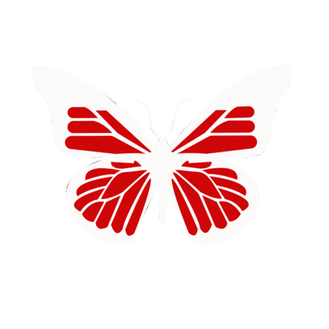 TTU DDEI Sticker