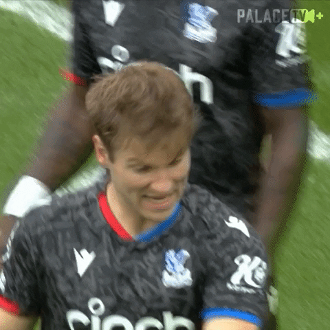Come Crystal Palace GIF by Crystal Palace Football Club