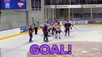 Rungsted Seier Capital GIF