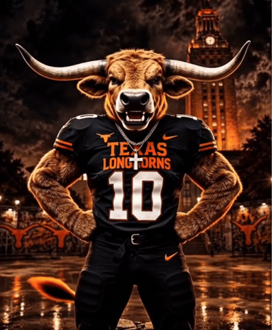 University Of Texas Longhorns GIF