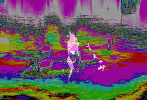 Glitch GIF