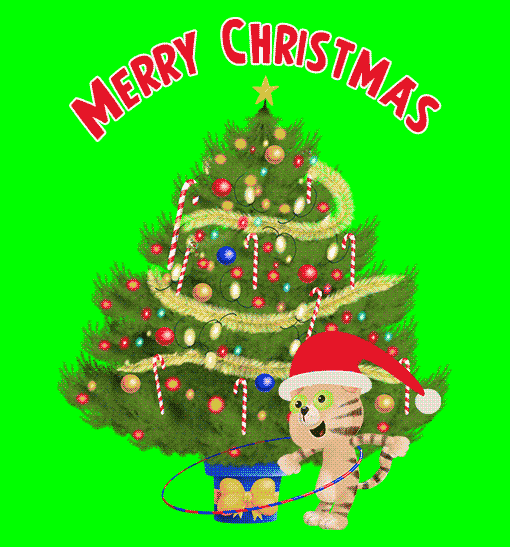 Merry Christmas Cat GIF by Bill Greenhead Find & Share on GIPHY