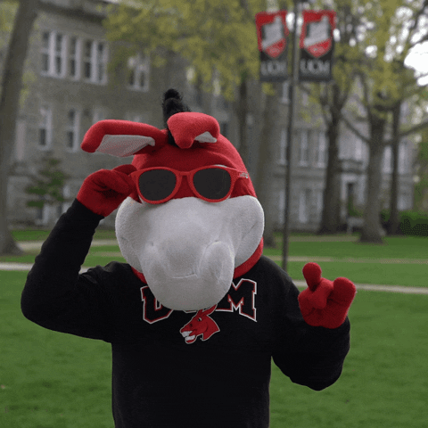 Mo Mascots GIF by University of Central Missouri