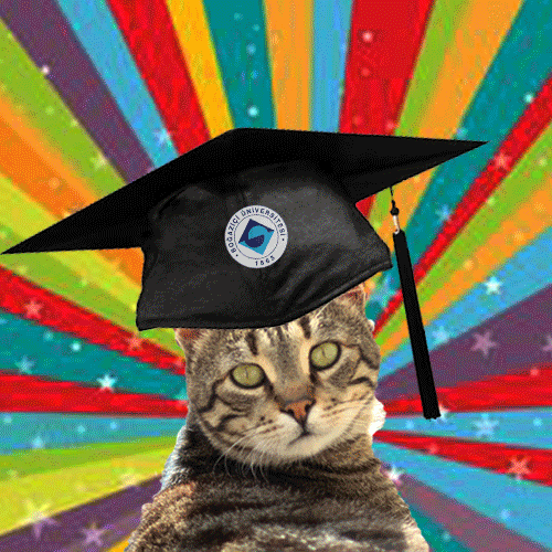 Graduation Grad GIF by Bogazici University - Find & Share on GIPHY