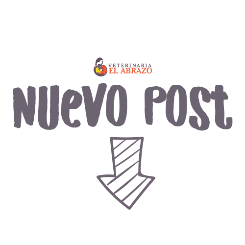 Veterinaria El Abrazo Sticker