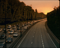 FDJ GIF