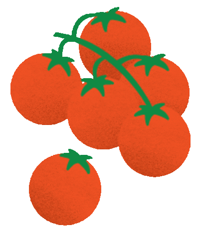 Tomato Ostro Sticker by Beci Orpin