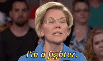 elizabeth warren msnbc GIF