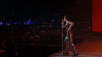 As It Was Coachella GIF by Harry Styles