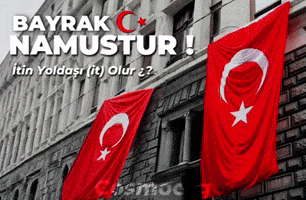 Bayrak GIF