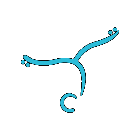 Skating Sticker by Ginnastica Tigullio