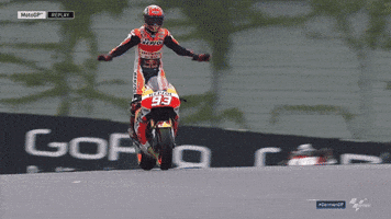 Number One Celebration GIF by MotoGP