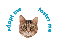 Friends of PACC Sticker