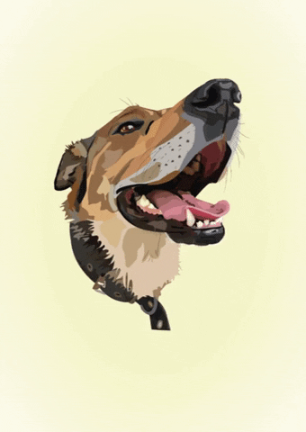Dog GIF
