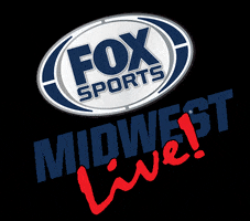 Ballpark Village St. Louis GIF