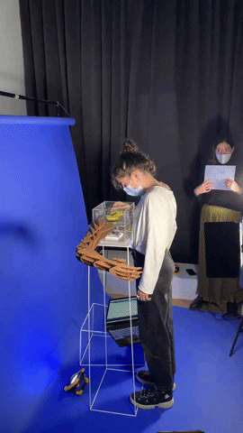 Animated GIF