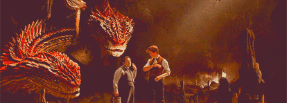 Fantastic Beasts GIF