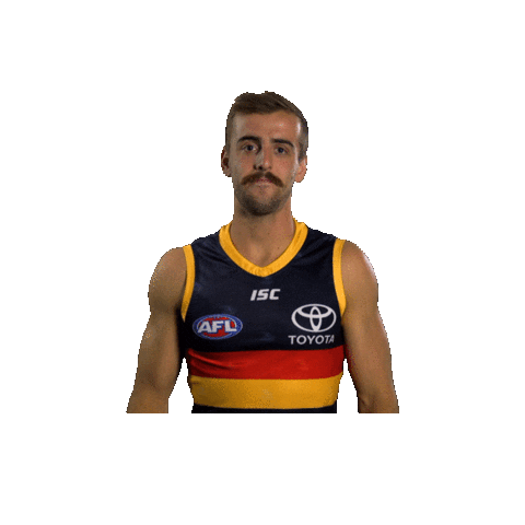 sticker afl by Adelaide Crows