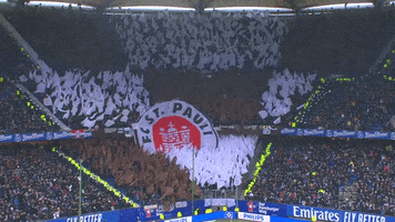 Fans Derby GIF by FC St. Pauli