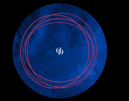 Danielle x Design Co GIF