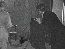 200.gif?cid=fc005b086feb157898cc0389db22ae6ad167282f480b59ae&rid=200.gif&ct=g