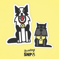 Scottish National Party Ge2019 GIF by The SNP