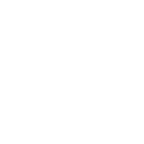 Braunywood Sticker by sgromusic