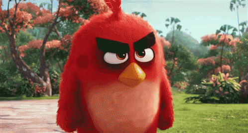 Mad Angry Bird GIF by swerk