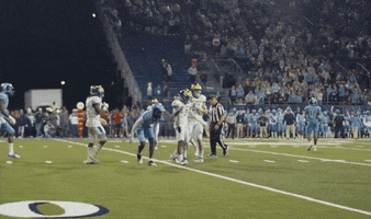 Celebrate College Sports GIF by Delaware Blue Hens