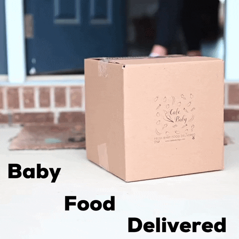 Cafebabytogo baby food home delivery busy mom baby food delivery GIF