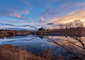 Adrian Preston Brown GIF