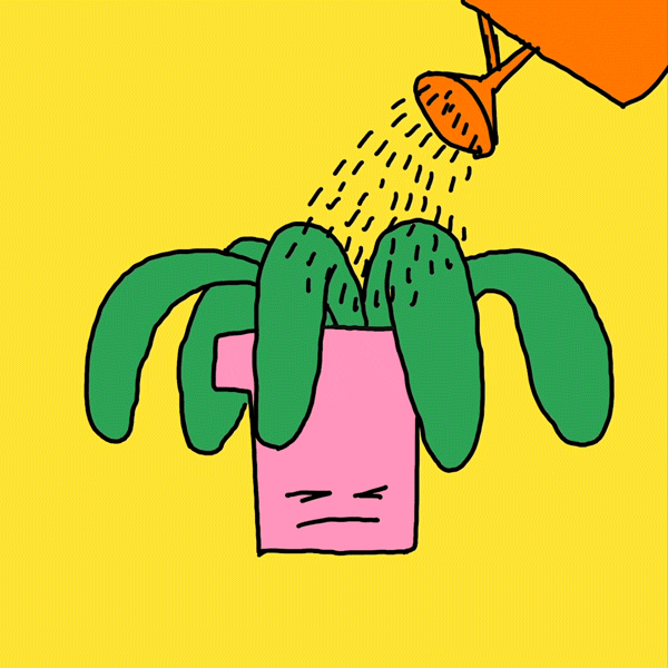 Joe Eckworth GIF Find & Share on GIPHY