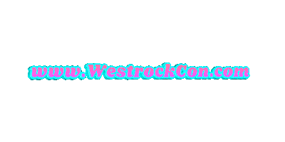 Westrock Construction Sticker