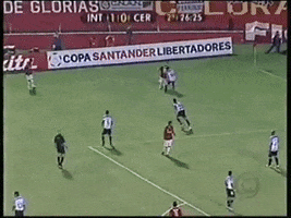 Libertadores Da America Colorado GIF by Sport Club Internacional