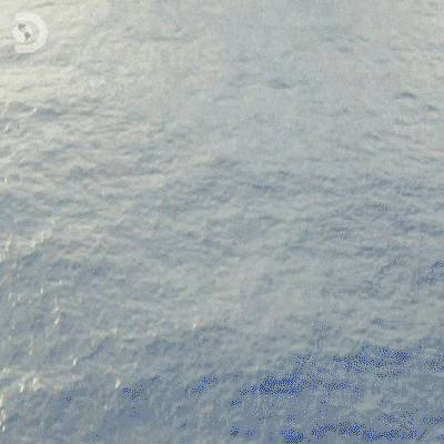 Oil Rig Sea GIF by Discovery Europe