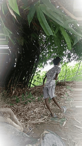 Bash GIF