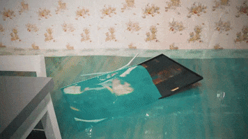 Motion GIF