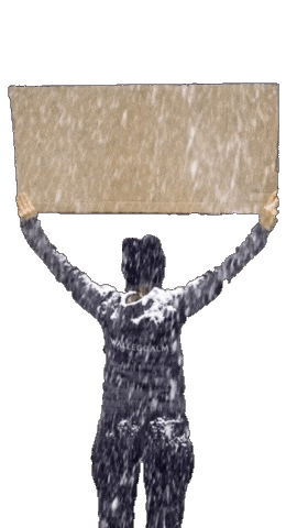 Let It Snow Sticker by Walleggalm