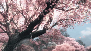Lunar New Year GIF