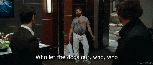 movies film hangover zach galifianakis who let the dogs out GIF