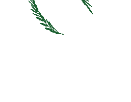 Diindargrup Sticker by Mertcan Erten Fotograf