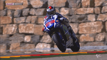 Jorge Lorenzo Yamaha GIF by MotoGP