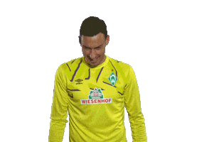 Jiri Pavlenka Football Sticker by SV Werder Bremen
